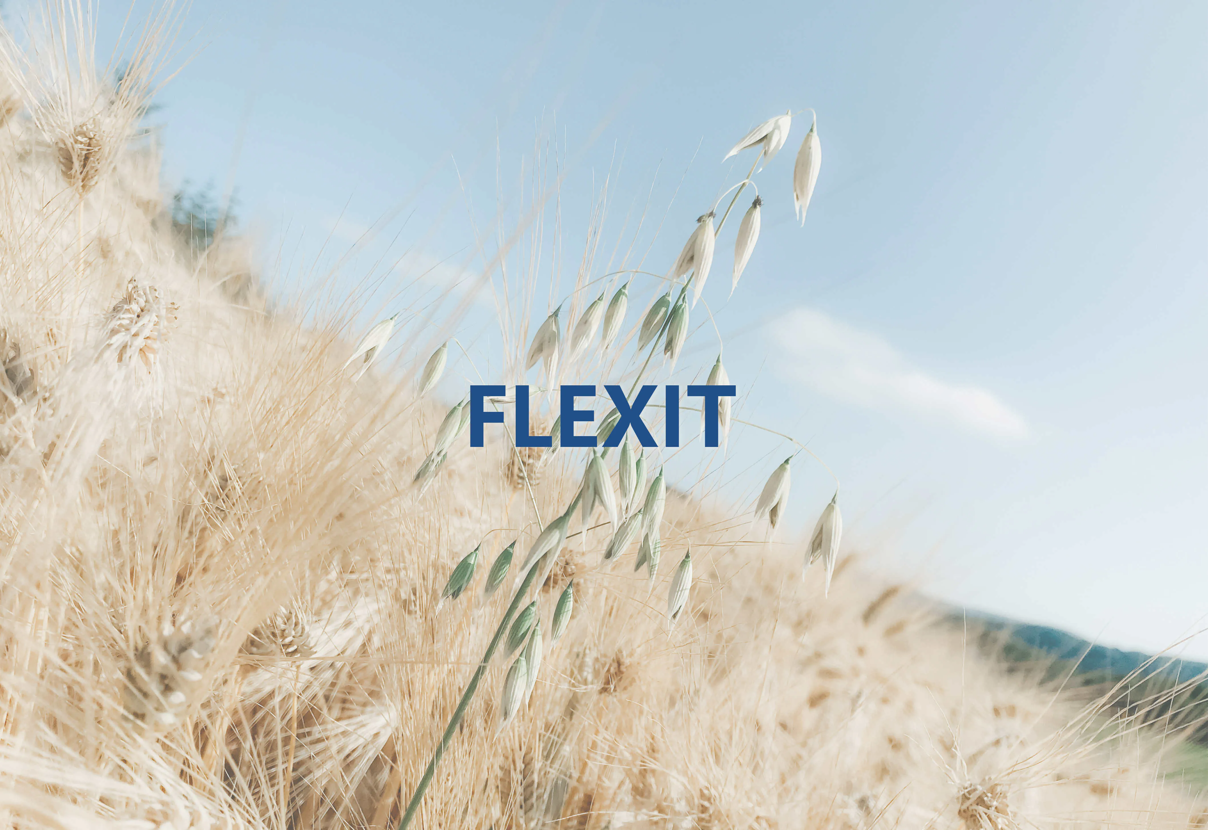 Ventilasjonsfilter til Flexit